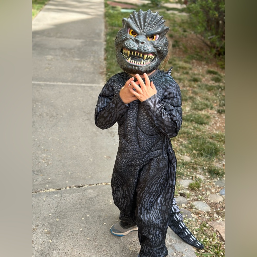 Kids Dinosaur Costume - Black and Gray